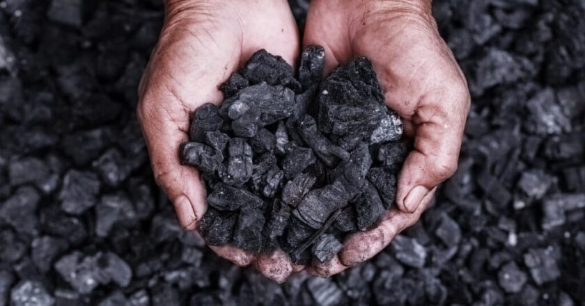 Wilkie coal